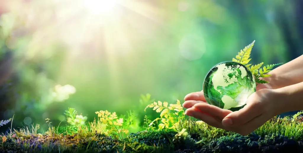 How to Build an Ethical Supply Chain